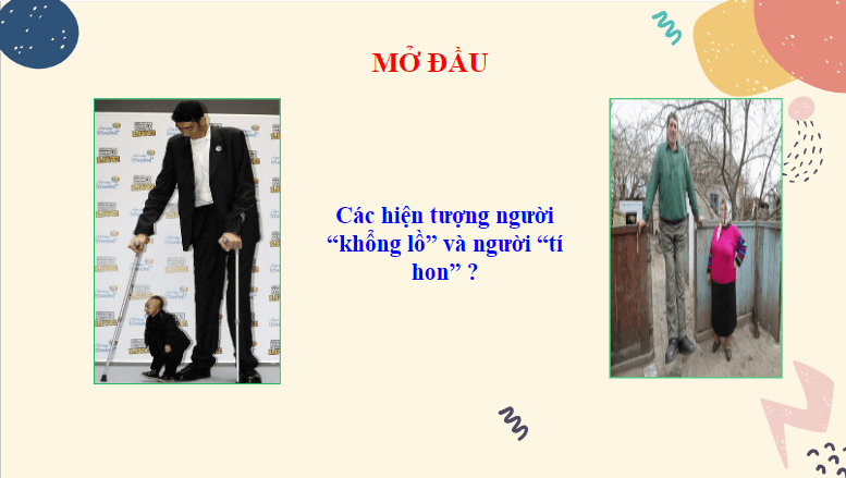 Giáo án điện tử KHTN 8 Kết nối tri thức Bài 38: Hệ nội tiết ở người | PPT Khoa học tự nhiên 8