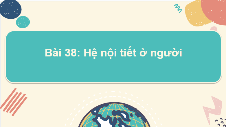 Giáo án điện tử KHTN 8 Kết nối tri thức Bài 38: Hệ nội tiết ở người | PPT Khoa học tự nhiên 8