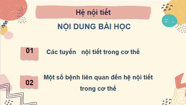 Giáo án điện tử KHTN 8 Kết nối tri thức Bài 38: Hệ nội tiết ở người | PPT Khoa học tự nhiên 8