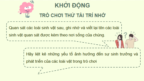 Giáo án điện tử KHTN 8 Cánh diều Bài 38: Môi trường và các nhân tố sinh thái | PPT Khoa học tự nhiên 8