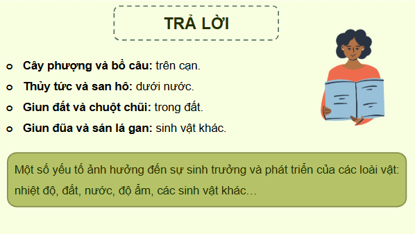 Giáo án điện tử KHTN 8 Cánh diều Bài 38: Môi trường và các nhân tố sinh thái | PPT Khoa học tự nhiên 8