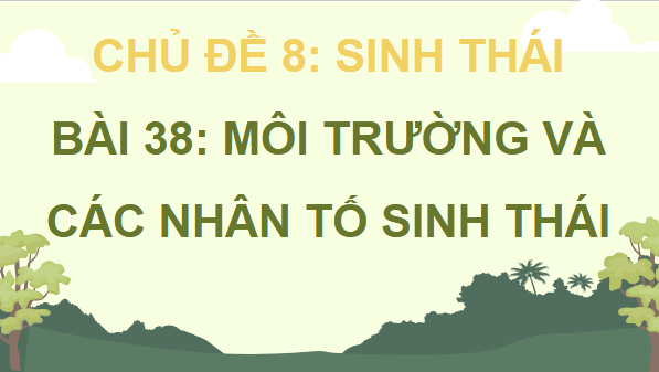 Giáo án điện tử KHTN 8 Cánh diều Bài 38: Môi trường và các nhân tố sinh thái | PPT Khoa học tự nhiên 8