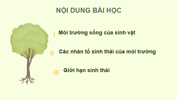 Giáo án điện tử KHTN 8 Cánh diều Bài 38: Môi trường và các nhân tố sinh thái | PPT Khoa học tự nhiên 8
