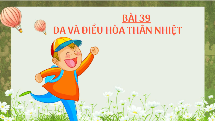 Giáo án điện tử KHTN 8 Kết nối tri thức Bài 39: Da và điều hòa thân nhiệt ở người | PPT Khoa học tự nhiên 8