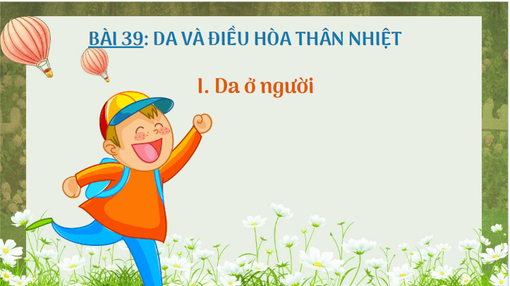 Giáo án điện tử KHTN 8 Kết nối tri thức Bài 39: Da và điều hòa thân nhiệt ở người | PPT Khoa học tự nhiên 8