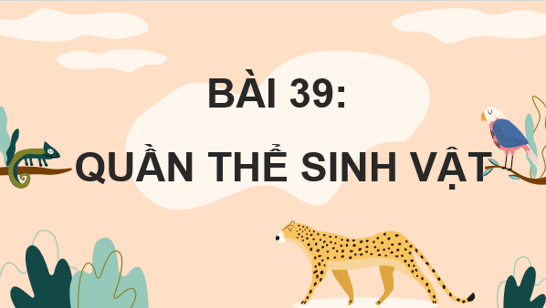 Giáo án điện tử KHTN 8 Cánh diều Bài 39: Quần thể sinh vật | PPT Khoa học tự nhiên 8