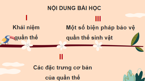 Giáo án điện tử KHTN 8 Cánh diều Bài 39: Quần thể sinh vật | PPT Khoa học tự nhiên 8