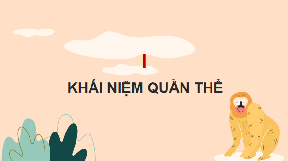 Giáo án điện tử KHTN 8 Cánh diều Bài 39: Quần thể sinh vật | PPT Khoa học tự nhiên 8