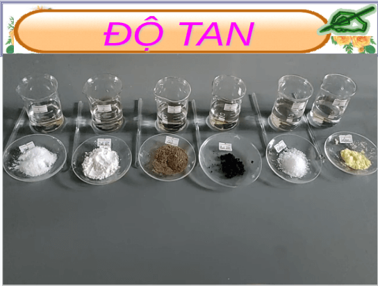 Giáo án điện tử KHTN 8 Kết nối tri thức Bài 4: Dung dịch và nồng độ | PPT Khoa học tự nhiên 8