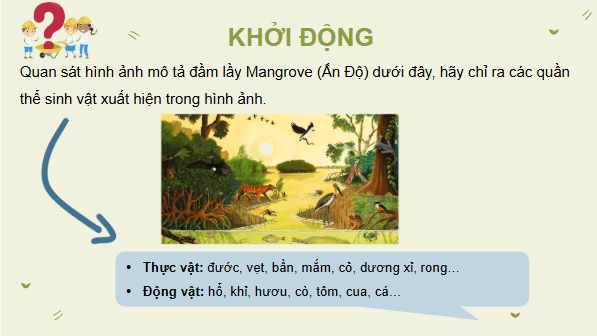 Giáo án điện tử KHTN 8 Cánh diều Bài 40: Quần xã sinh vật | PPT Khoa học tự nhiên 8