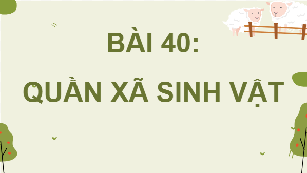 Giáo án điện tử KHTN 8 Cánh diều Bài 40: Quần xã sinh vật | PPT Khoa học tự nhiên 8