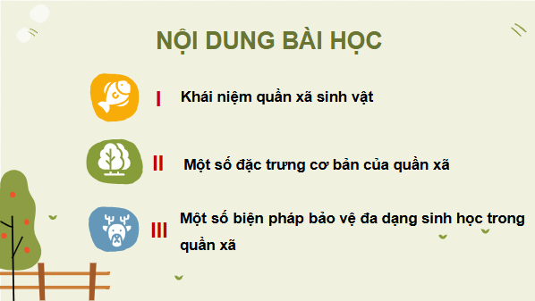 Giáo án điện tử KHTN 8 Cánh diều Bài 40: Quần xã sinh vật | PPT Khoa học tự nhiên 8