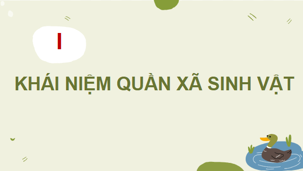 Giáo án điện tử KHTN 8 Cánh diều Bài 40: Quần xã sinh vật | PPT Khoa học tự nhiên 8