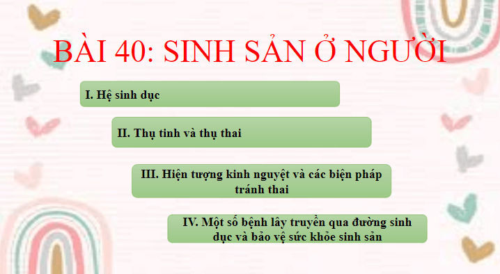 Giáo án điện tử KHTN 8 Kết nối tri thức Bài 40: Sinh sản ở người | PPT Khoa học tự nhiên 8
