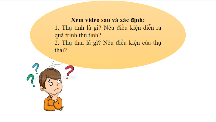 Giáo án điện tử KHTN 8 Kết nối tri thức Bài 40: Sinh sản ở người | PPT Khoa học tự nhiên 8