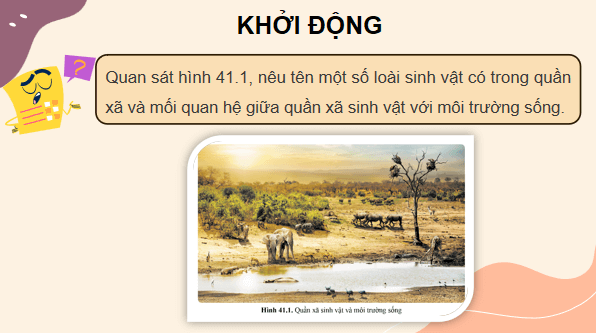 Giáo án điện tử KHTN 8 Cánh diều Bài 41: Hệ sinh thái | PPT Khoa học tự nhiên 8