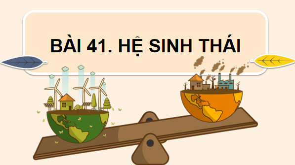 Giáo án điện tử KHTN 8 Cánh diều Bài 41: Hệ sinh thái | PPT Khoa học tự nhiên 8
