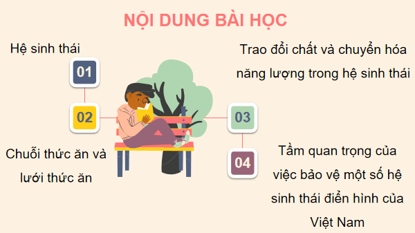 Giáo án điện tử KHTN 8 Cánh diều Bài 41: Hệ sinh thái | PPT Khoa học tự nhiên 8