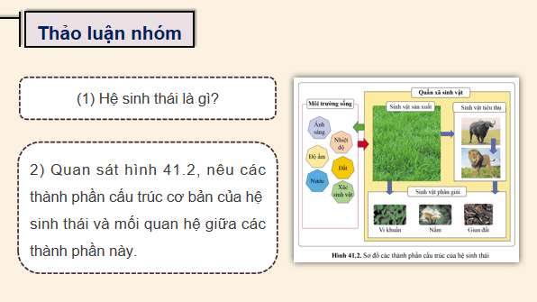 Giáo án điện tử KHTN 8 Cánh diều Bài 41: Hệ sinh thái | PPT Khoa học tự nhiên 8