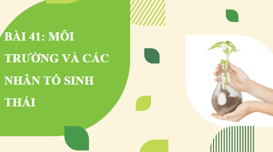 Giáo án điện tử KHTN 8 Kết nối tri thức Bài 41: Môi trường và các nhân tố sinh thái | PPT Khoa học tự nhiên 8