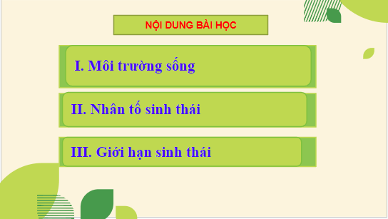 Giáo án điện tử KHTN 8 Kết nối tri thức Bài 41: Môi trường và các nhân tố sinh thái | PPT Khoa học tự nhiên 8