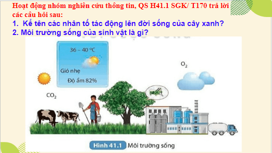 Giáo án điện tử KHTN 8 Kết nối tri thức Bài 41: Môi trường và các nhân tố sinh thái | PPT Khoa học tự nhiên 8