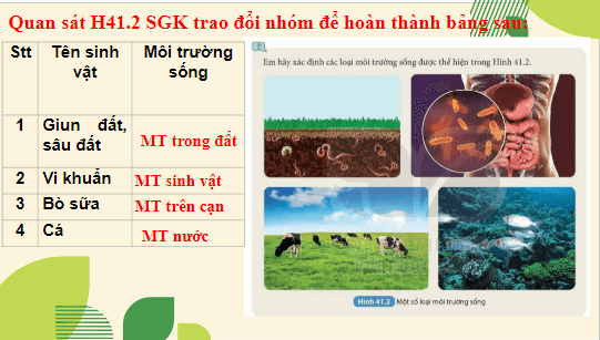 Giáo án điện tử KHTN 8 Kết nối tri thức Bài 41: Môi trường và các nhân tố sinh thái | PPT Khoa học tự nhiên 8
