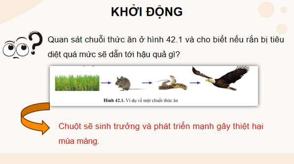 Giáo án điện tử KHTN 8 Cánh diều Bài 42: Cân bằng tự nhiên và bảo vệ môi trường | PPT Khoa học tự nhiên 8