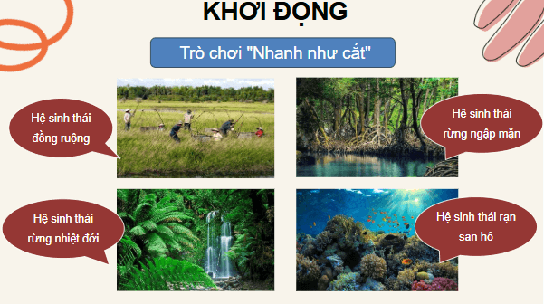 Giáo án điện tử KHTN 8 Cánh diều Bài 43: Khái quát về sinh quyển và các khu sinh học | PPT Khoa học tự nhiên 8