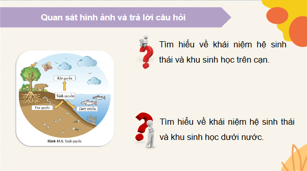 Giáo án điện tử KHTN 8 Cánh diều Bài 43: Khái quát về sinh quyển và các khu sinh học | PPT Khoa học tự nhiên 8