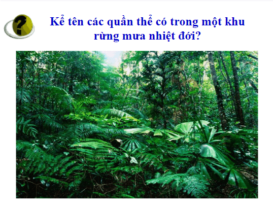 Giáo án điện tử KHTN 8 Kết nối tri thức Bài 43: Quần xã sinh vật | PPT Khoa học tự nhiên 8