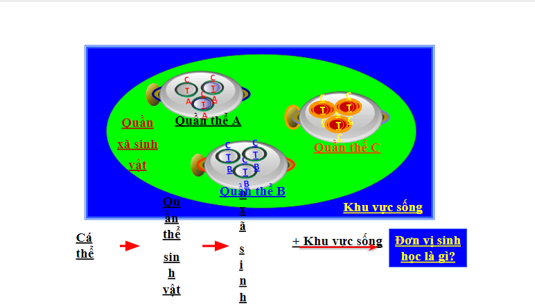 Giáo án điện tử KHTN 8 Kết nối tri thức Bài 44: Hệ sinh thái | PPT Khoa học tự nhiên 8
