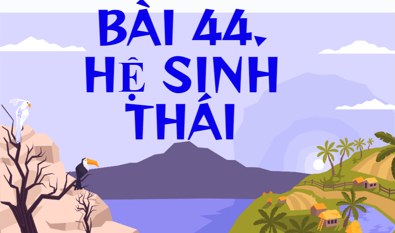 Giáo án điện tử KHTN 8 Kết nối tri thức Bài 44: Hệ sinh thái | PPT Khoa học tự nhiên 8