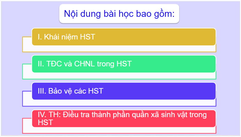 Giáo án điện tử KHTN 8 Kết nối tri thức Bài 44: Hệ sinh thái | PPT Khoa học tự nhiên 8
