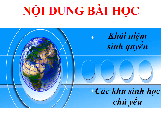 Giáo án điện tử KHTN 8 Kết nối tri thức Bài 45: Sinh quyển | PPT Khoa học tự nhiên 8