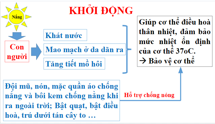 Giáo án điện tử KHTN 8 Kết nối tri thức Bài 46: Cân bằng tự nhiên | PPT Khoa học tự nhiên 8