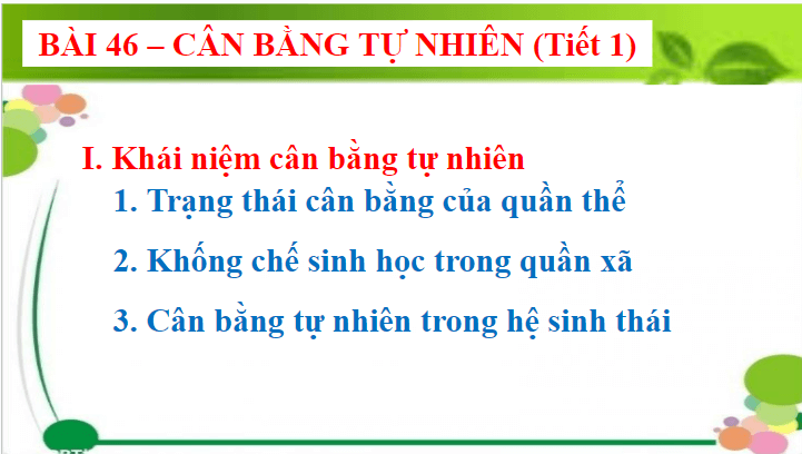 Giáo án điện tử KHTN 8 Kết nối tri thức Bài 46: Cân bằng tự nhiên | PPT Khoa học tự nhiên 8