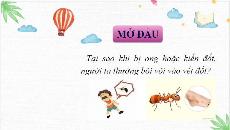 Giáo án điện tử KHTN 8 Kết nối tri thức Bài 9: Base. Thang pH | PPT Khoa học tự nhiên 8