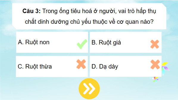 Giáo án điện tử KHTN 8 Cánh diều Bài tập Chủ đề 7 | PPT Khoa học tự nhiên 8