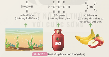 Giáo án KHTN 9 Kết nối tri thức Bài 23: Alkane | Giáo án Khoa học tự nhiên 9