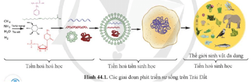 Giáo án KHTN 9 Cánh diều Bài 44: Sự phát sinh và phát triển sự sống trên Trái Đất | Giáo án Khoa học tự nhiên 9