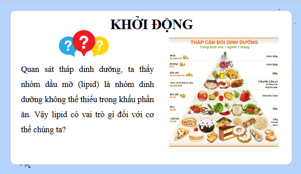 Giáo án điện tử KHTN 9 Cánh diều Bài 25: Lipid và chất béo | PPT Khoa học tự nhiên 9