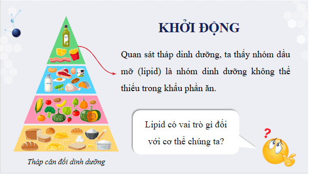 Giáo án điện tử KHTN 9 Chân trời sáng tạo Bài 26: Lipid và chất béo | PPT Khoa học tự nhiên 9