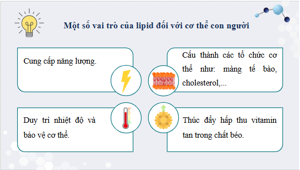 Giáo án điện tử KHTN 9 Chân trời sáng tạo Bài 26: Lipid và chất béo | PPT Khoa học tự nhiên 9