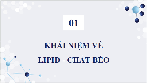 Giáo án điện tử KHTN 9 Chân trời sáng tạo Bài 26: Lipid và chất béo | PPT Khoa học tự nhiên 9