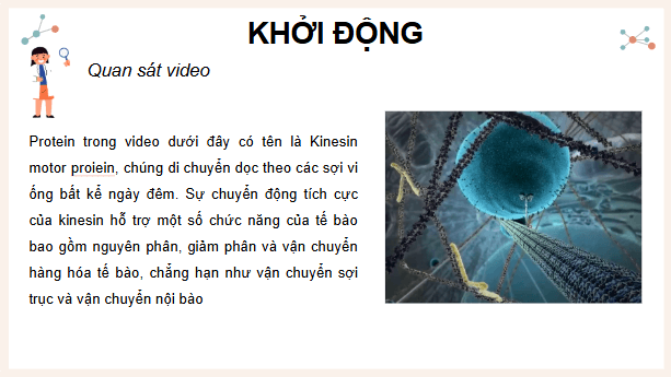 Giáo án điện tử KHTN 9 Cánh diều Bài 28: Protein | PPT Khoa học tự nhiên 9