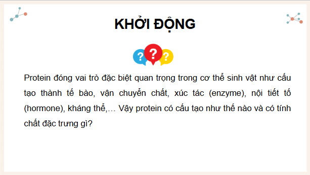 Giáo án điện tử KHTN 9 Cánh diều Bài 28: Protein | PPT Khoa học tự nhiên 9