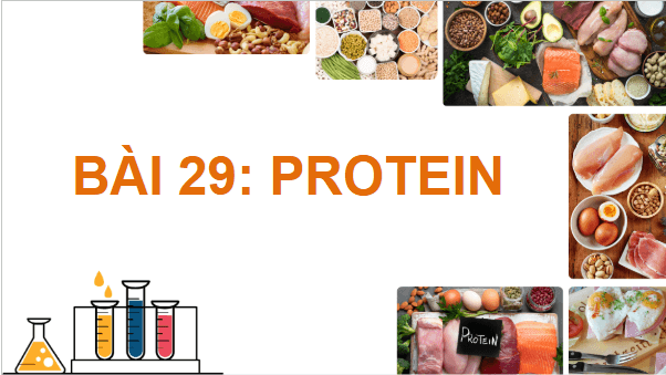 Giáo án điện tử KHTN 9 Chân trời sáng tạo Bài 29: Protein | PPT Khoa học tự nhiên 9