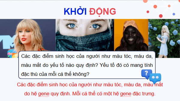 Giáo án điện tử KHTN 9 Cánh diều Bài 33: Gene là trung tâm của di truyền học | PPT Khoa học tự nhiên 9