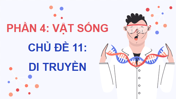 Giáo án điện tử KHTN 9 Cánh diều Bài 33: Gene là trung tâm của di truyền học | PPT Khoa học tự nhiên 9